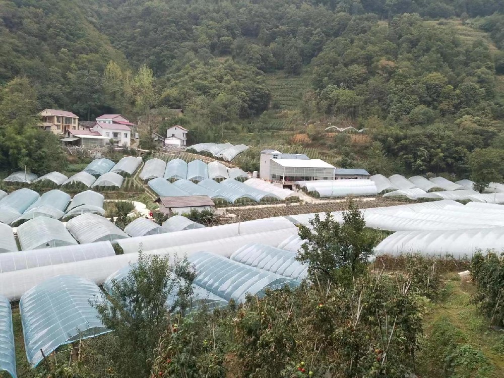 幫蔬菜保溫，讓農(nóng)戶(hù)暖心